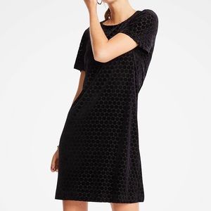 Ann Taylor Velvet Dot Shift Dress